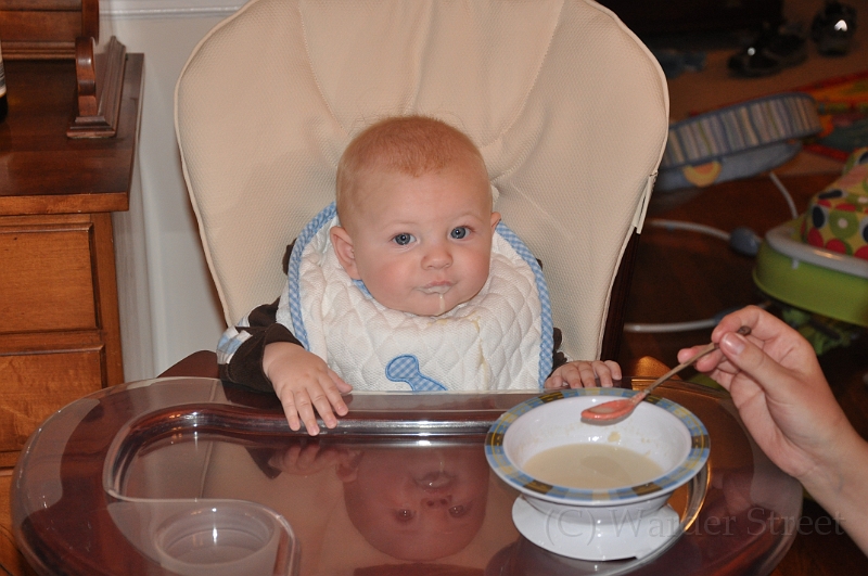 William's Twenty-Second Week 06.jpg